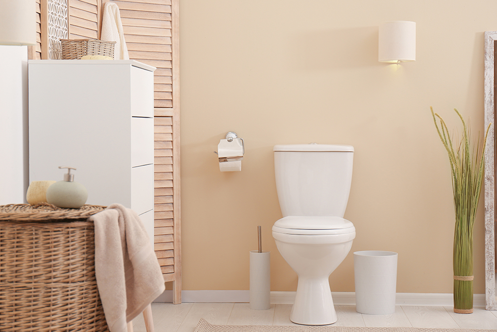 What’s in Your Toilet and How Does it Work?