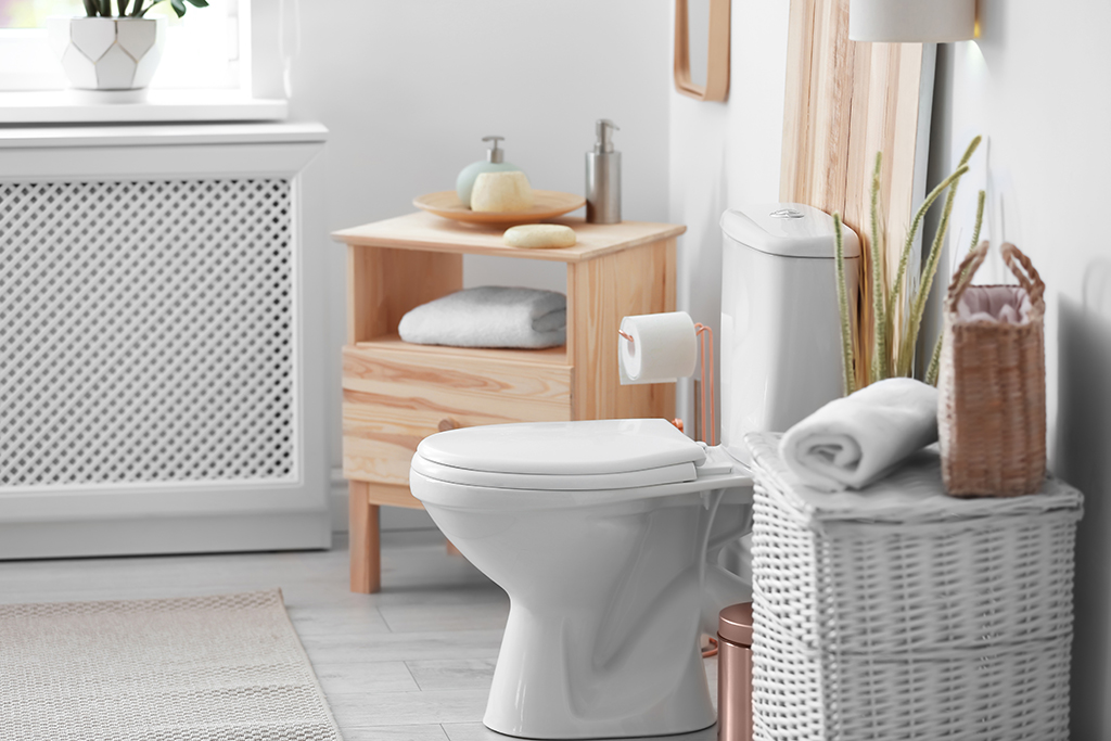 Form and Function: Choosing the Right Toilet