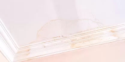 5-Early-Signs-of-Leaky-Pipes-Behind-Your-Walls