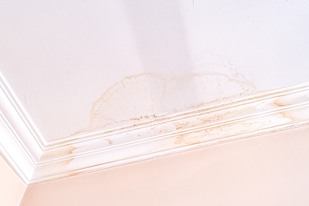 5 Early Signs of Leaky Pipes Behind Your Walls
