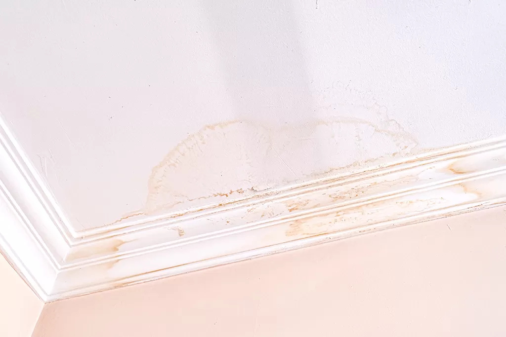 5 Early Signs of Leaky Pipes Behind Your Walls