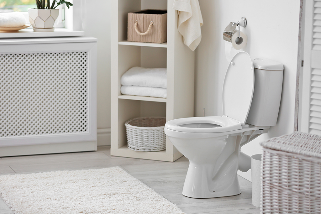 4 Common Reasons Your Toilet Isn’t Flushing Properly