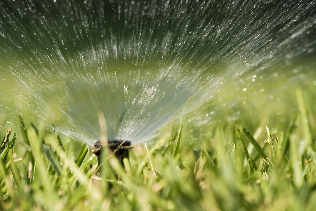 5 Simple Tricks to Prepare Your Sprinkler System for Hibernation