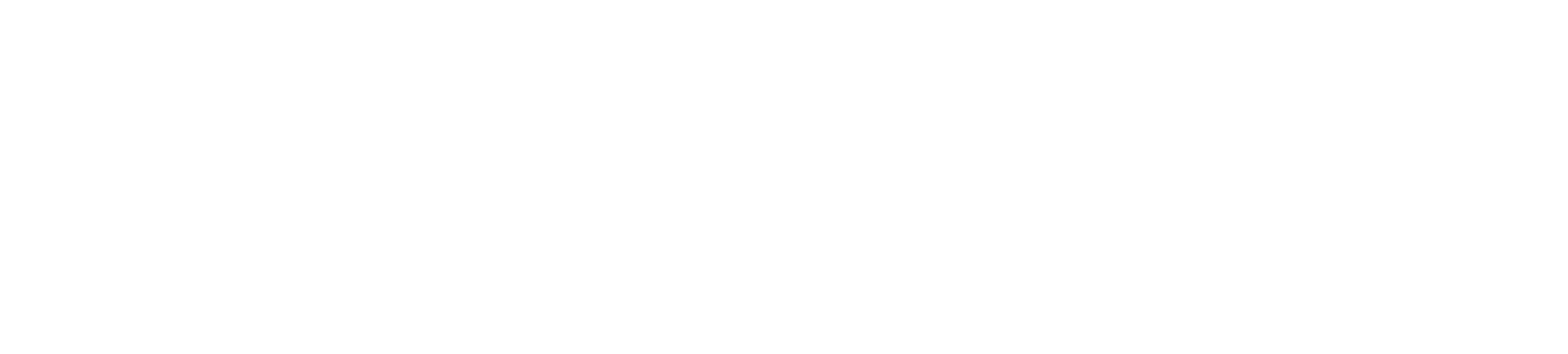 Central Connecticut Logo