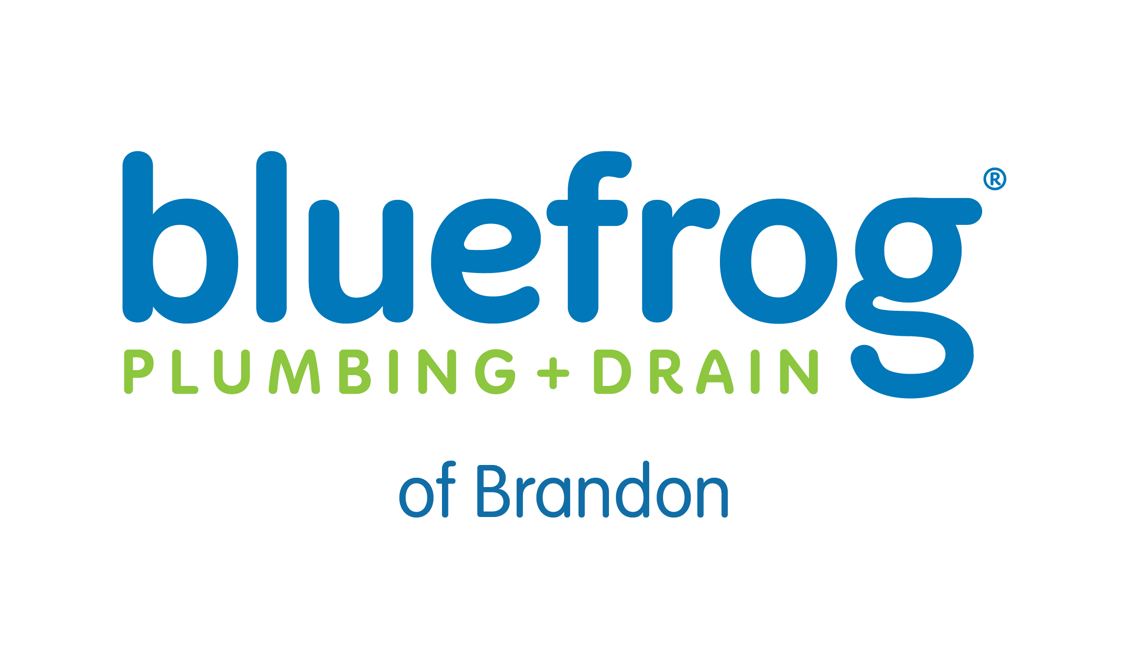 bluefrog Plumbing and Drain of Brandon Logo