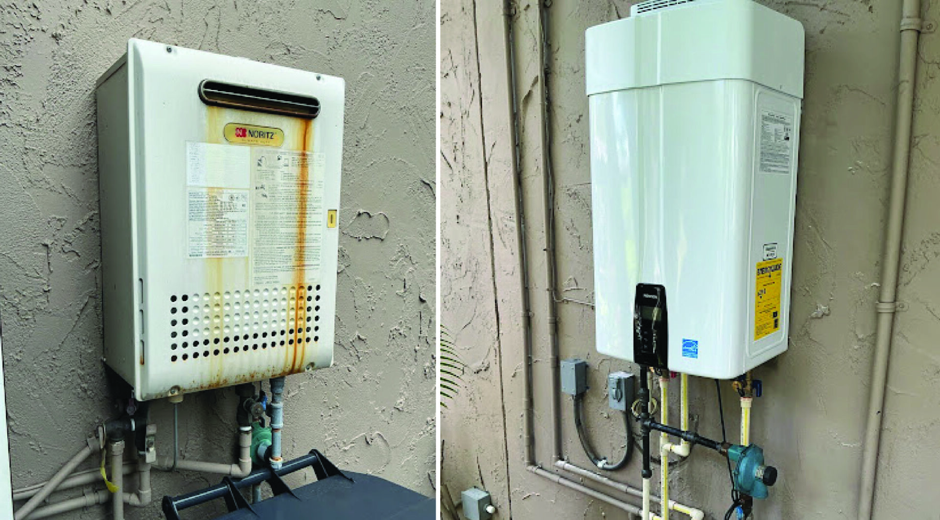 Bluefrog Featured Image